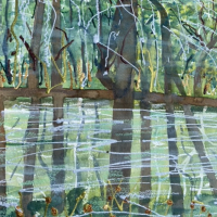 Reflections – Watercolour Painting – Colchester Art Society Essex member Sheila Martin
