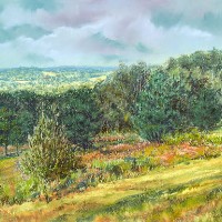 Ashdown Forest near Mardens Hill, Crowborough – Juliet Murray – Sussex Artist Gallery – Pastel Landscape Artist