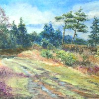 Ashdown Forest, near Wych Cross, East Sussex – Pastel Landscape Artist – Juliet Murray – Sussex Artists Gallery