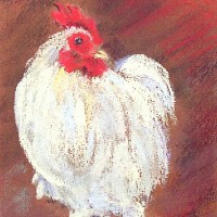 Bantam Cockerel – East Sussex Artist Juliet Murray – Sussex Artists Gallery – Pastel Landscape Artist
