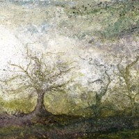 Enchanted Forest – Fine Art Prints – West Sussex Artist – Bleau Shanay Hudson – Woodland Art – Sussex Artists Gallery