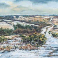 First Snows, Old Lodge Valley, Ashdown Forest – Juliet Murray – Sussex Artist Gallery – Pastel Landscape Artist