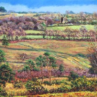 Nutley Windmill from Millbrook – East Sussex Artist Juliet Murray – Sussex Artists Gallery – Pastel Landscape Artist