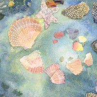 The Shell Garden, Ink and Mixed Media Collage – East Sussex Artist Nichola Campbell – Collages – Sussex Artists Gallery