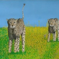 Cheetahs at the O.K. Corral – Horsham, West Sussex Artist – Roger Gasson