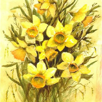 Daffodils – Floral Art Prints – Sussex Artist – Audrey Laycock – Watercolour Gallery