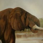 My Elephant – Animal Oil Painting – Jenny Rabie – Crawley, West Sussex Artist – Sussex Artists Gallery