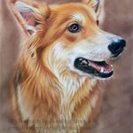 Portrait of Dog – Lexie