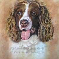 Portrait Of Dog Sadie