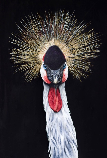 Crowned Crane - Bird and Animal Art - Original Painting - Claire Heffron Award Winning Wildlife Artist