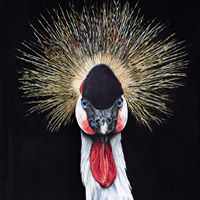 Crowned Crane – Bird and Animal Art – Original Painting – Claire Heffron Award Winning Wildlife Artist