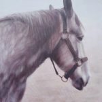 Equine Art – Horse Portrait – Percheron – East Harting Sussex Artist Helen Thair