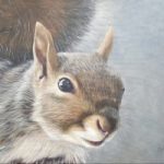 Grey Squirrel – Wildlife painting by East Harting Sussex Hampshire Border Artist Helen Thair