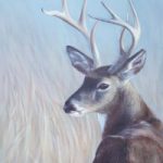 Stag – Wildlife Portrait by Animal Artist Helen Thair from East Harting Sussex