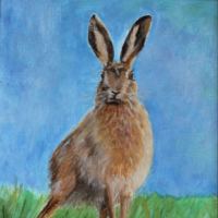 Hare – Cheeky Fella – Wildlife Portrait – Frinton-on-Sea Artist Sue Branch