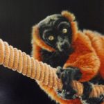 Curious Lemur – Oil on Canvas – Animal and Wildlife Artist Nathalie Bos