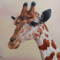 Giraffe Oil on Canvas - Mayfield East Sussex Wildlife and Animal Artist Nathalie Bos