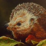Hedgehog – Winter is Coming – Animal Artist and Crowborough Arts member Nathalie Bos