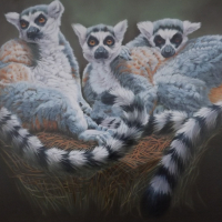 Lemurs Oil Painting – Crowborough Arts member Nathalie Bos