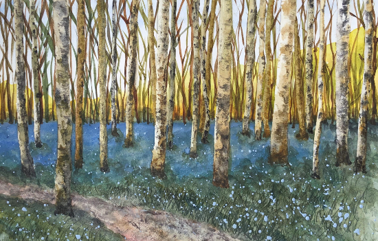 Bluebells and Birches - Spring Flowers and Trees Forest Scene - Cumbrian Natural World Artist APWP Borrowdale