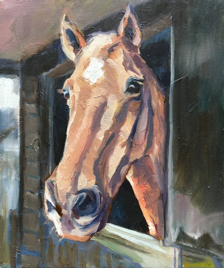 Equestrian and Pet Portraits - Horse and Animal Artist Sheri Gee from West Sussex