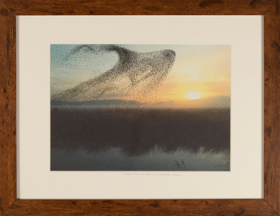 Murmuration - Bird Formation Rising from the Downs - Kingston, East Sussex - Wildlife Artist Dawnie Thompson