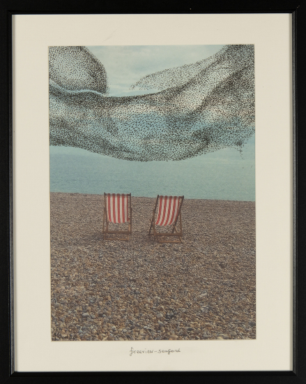 Murmuration and Deckchairs - Seaford Beach - East Sussex - Coastal Artist Dawnie Thompson - Newhaven Art Club
