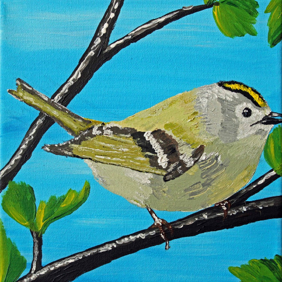 Acrylic on Canvas of a Gold Crest - British Garden Bird - Greetings Cards also available