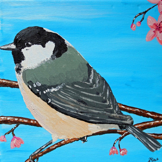 British Garden Bird - Coal Tit - Acrylic Painting and Greetings Cards by Lewes East Sussex Artist Emily Geering