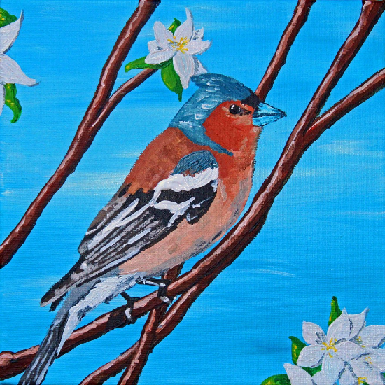 Chaffinch - British Garden Bird - Acrylic Painting by Lewes East Sussex Acrylic Artist Emily Geering