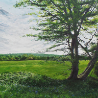 Woodland Glade – Countryside Landscape Painting by East Sussex Acrylic Artist Darren Slater