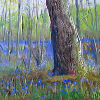 Art – Bluebell Woods – Stanmer Park Painting by Peacehaven East Sussex Artist Lorrayne A Chambers
