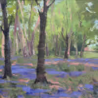 A Carpet of Blue – Oil Painting by East Grinstead, West Sussex Artist Sheri Gee