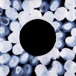 Iris – Modern Art by Contemporary Artist Gareth Miller