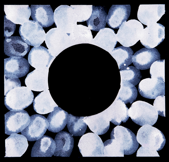 Iris - Modern Art by Contemporary Artist Gareth Miller